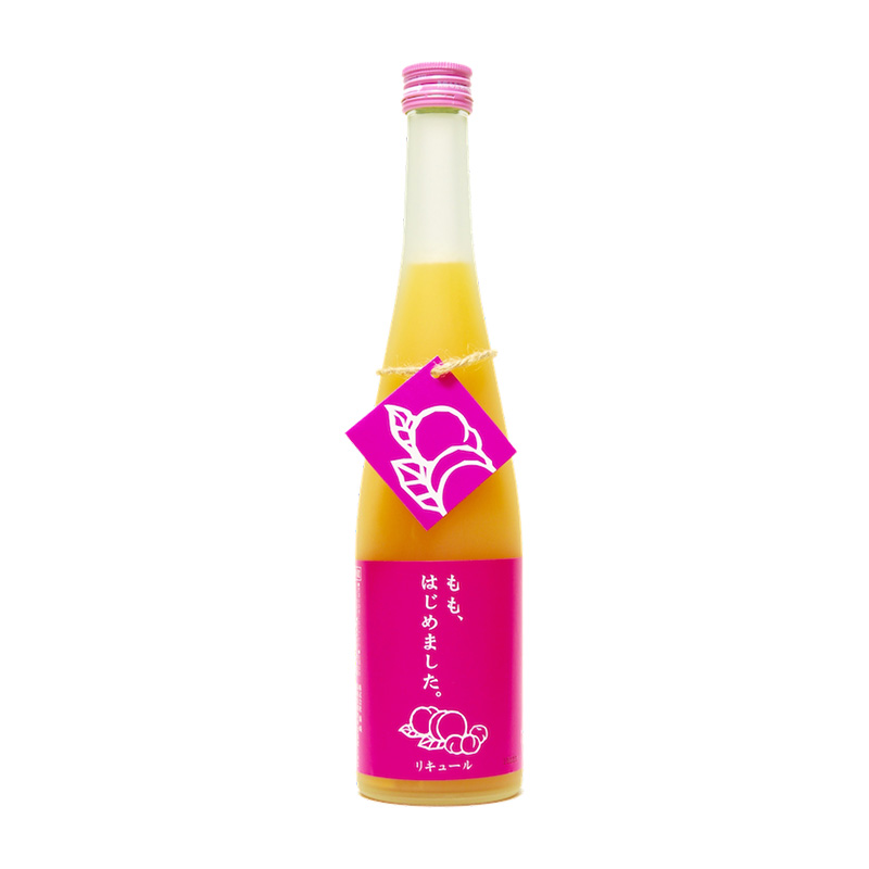 篠崎 桃子梅酒 500ml